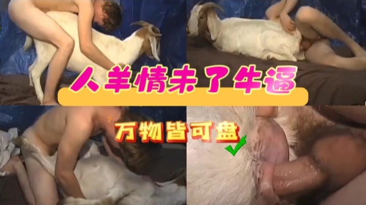 人养情未了，牛逼