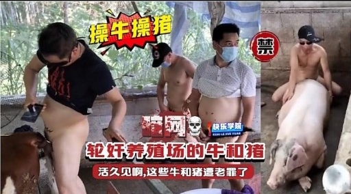 轮奸养殖场的牛和猪活久见啊，这些牛和猪遭老罪了