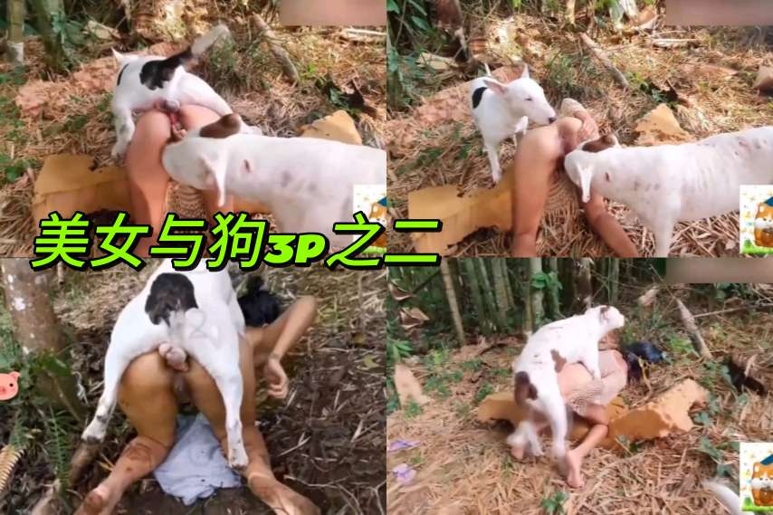 经典人兽：美与与两狗3p！
