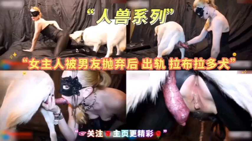 经典人兽系列，女主人出轨拉不拉多！