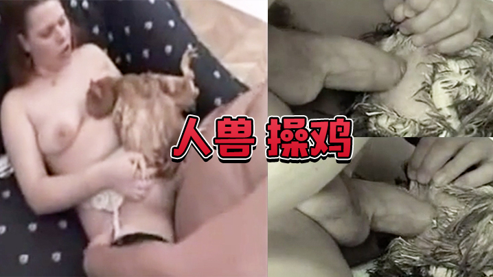 #人兽 操鸡 操鸡屁眼是什么感觉