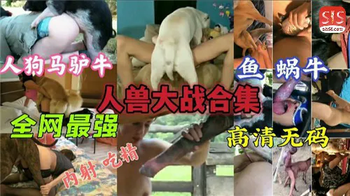 全网最强人兽大战合集-变态