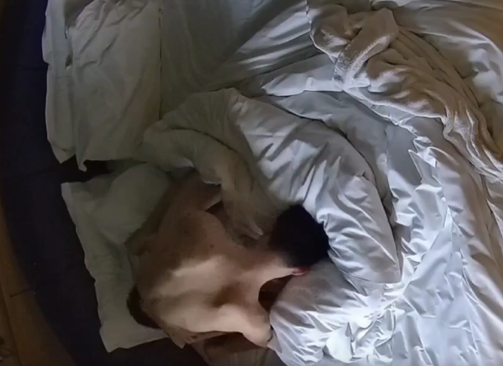 情趣台 3-6 一对激情男女 全程都是肉戏 应该是姐姐配合弟弟玩闹 让弟弟表现 最后还让弟弟内射了