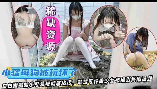 稀缺资源小骚母狗被玩坏了