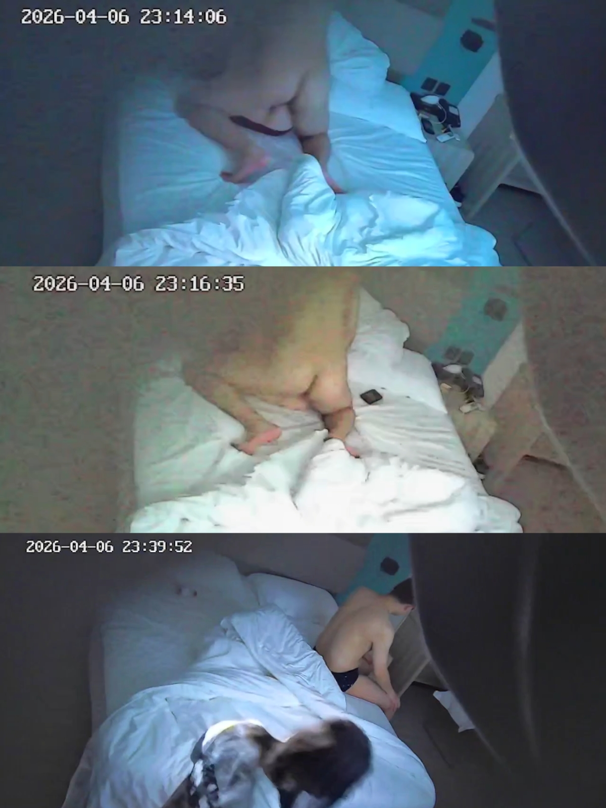 4-6极品小情侣 晚上9点开房 啪啪 男友还在观察女友小鲍鱼 手指扣扣