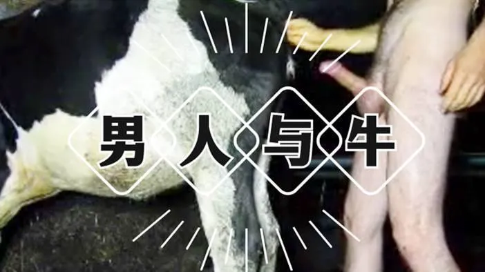 经典人与兽 男子操牛 无套内射